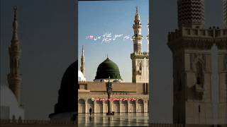 حال دل کس کو سنائیں آپ کے ہوتے ہوئے | new naat | naat e Nabi #islamicstatus #naat #naaterasoolﷺ