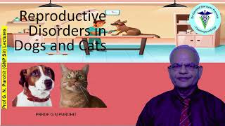 Solving Reproductive Issues in Dogs & Cats | Expert Tips by GNP Sir