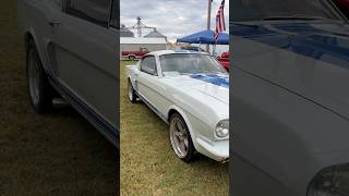 Mustangs from 37th Ol Marais and some cowbell..😂 | #cars #musclecar #shorts