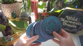 Wild Harmonic Oracle Deck Unboxing 🔮 Can't believe this