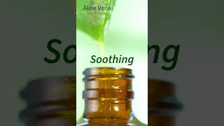 Aloe Vera to support your lifestyle