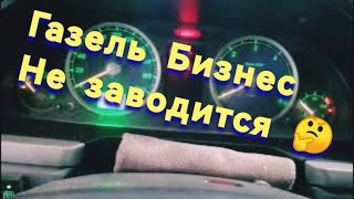 Газель Бизнес Заводится и Глохнет Как найти неисправность