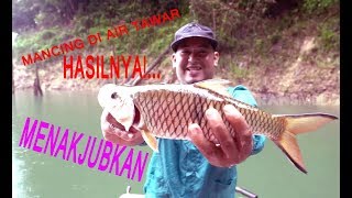 LUAR BIASA MANCING DI AIR TAWAR