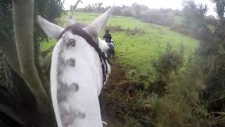 The Bray Harriers Barndarrig Hunt November 2018