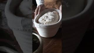 Raw Himalayas Flour #ytshorts