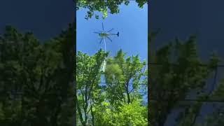 Aerial tree trimming