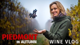 Piedmont in Autumn (Wine Vlog)