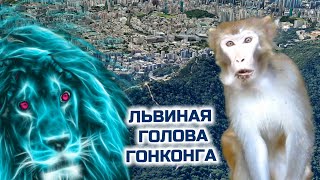 Львиная голова Гонконга 🦁 И ещё обезьянья тропа 🐒  Весь день!