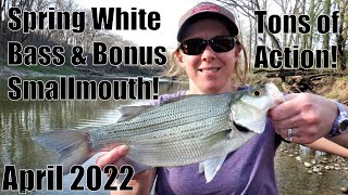 Indiana from the Bank: Spring White Bass and Smallmouth! 4/23/22