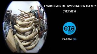 An Overview of the Environmental Investigation Agency