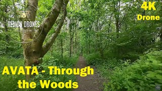 AVATA, Through the Woods - DJI AVATA 4K - Spud Wood, Lymm, May 2024