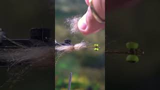 The Crafty Slider #flytying #fishing #shorts #timelapse