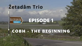 Zetadam Trio | Cobh