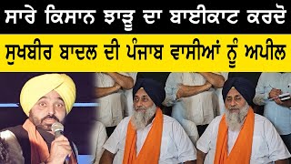 Sukhbir Badal Press Conference | Bhagwant Mann | Lok Sabha Elections 2024 | Bolly Fry