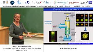 44/44 nonlinear microscopy