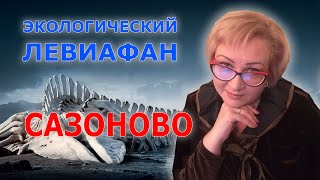 САЗОНОВО: ЭКОЛОГИЧЕСКИЙ ЛЕВИАФАН