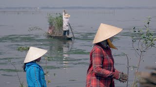 A Better World @VU | Strong Roots Vietnam