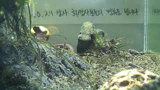 [1029참사 추모 어항방송] Aquarium Live - 2023.01.27 Fri KST