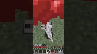 my pet died #minecraft #gaming #trending #sad