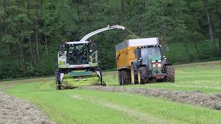 Ensilage d'herbe