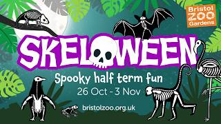 Skeloween at Bristol Zoo Gardens