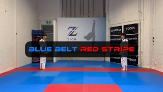 Blue Belt - Board Breaking Running Jumping Side Kick & Punch  Red Stripe