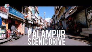 PALAMPUR MARKET DRIVE