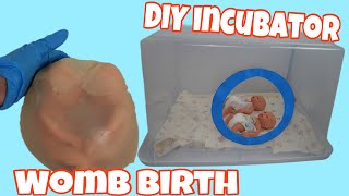 Birth of silicone twins in the womb and DIY Incubator for reborn