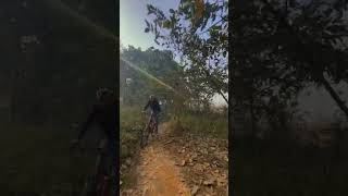 Jungle Ride 😇😎 #cycling #bicycle #crazy #downhill