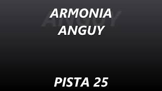 ARMONIA ANGUY - PISTA 25 - EL GALLITO