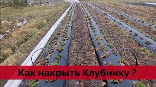 КАК ПРАВИЛЬНО ДЕЛАТЬ ТУНЕЛИ ДЛЯ КЛУБНИКИ / САМЫЙ ЛЕГКИЙ СПОСОБ НАКРЫТЬ КЛУБНИКУ