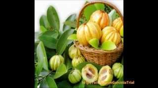 Why You Should Try Garcinia Cambogia Weight Loss FREE Trial