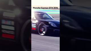 Porsche Cayman GT4 2016