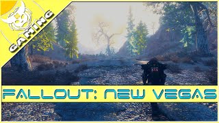 Fallout New Vegas Vid 1