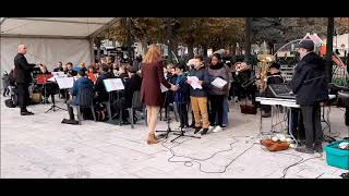 Aix les Bains Commémoration de la Victoire et de la Paix,