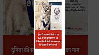 Nala दुनिया की सबसे अमीर बिल्ली 💸 #guinnessworldrecords #cat #facts #nalacat #trending #shorts