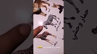 حمار مال العامرات 🤣🤣🤣🤣🤣🤣🤣