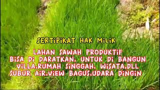 jual cepat lahan sertipikat,sawah produktif,area wisata puncak 2 Sukamakmur Bogor timur