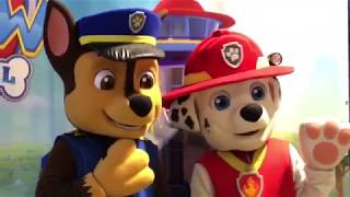 CHASE and MARSHAL are cute Paw Patrol pair visiting kids' summer festival