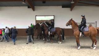 Die Reitsport Magzin Abonnenten bei der Reiterstaffel der Polizei Braunschweig