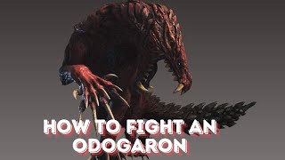 Monster Hunter Tutorials: How to fight an Odogaron. #mhnow #monsterhunternow #monsterhunters