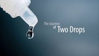 A journey of two drops