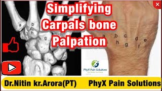 Simplifying Wrist Joint And Carpal Bone Palpation | Nitin Kumar Arora | PhyX Pain Solutions