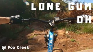 Lone Gum DH @ Fox Creek GoPro Run On My Pole Evolink 158