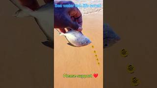 Sea water fish life saved#arcade #ytshorts#trending#fishing #music #song #respect #trump