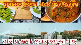 Dubaiতে ঢেঁড়স ১৯৫ টাকা কেজি, রাস্তার দুই ধারে দেখা গেল কৃষ্ণচূড়া গাছ, Lady Finger, Royal poinciana