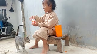 Ga ada temen main sama kucing aja