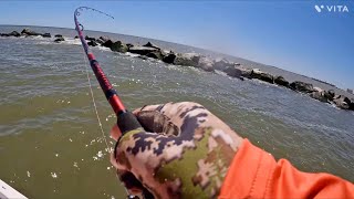 Big school of sheepshead at jetties right now!!!  - Freeport Surfside Jetties 2024.