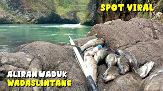 AMPUN !!! TARIKAN IKAN NILEM BABON SPOT ALIRAN  WADUK WADASLINTANG @NEENMediaOnline @nyomeanchannel