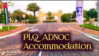 PLQ ADNOC Accommodation  Lewa | Abu Dhabi Heavy Rain